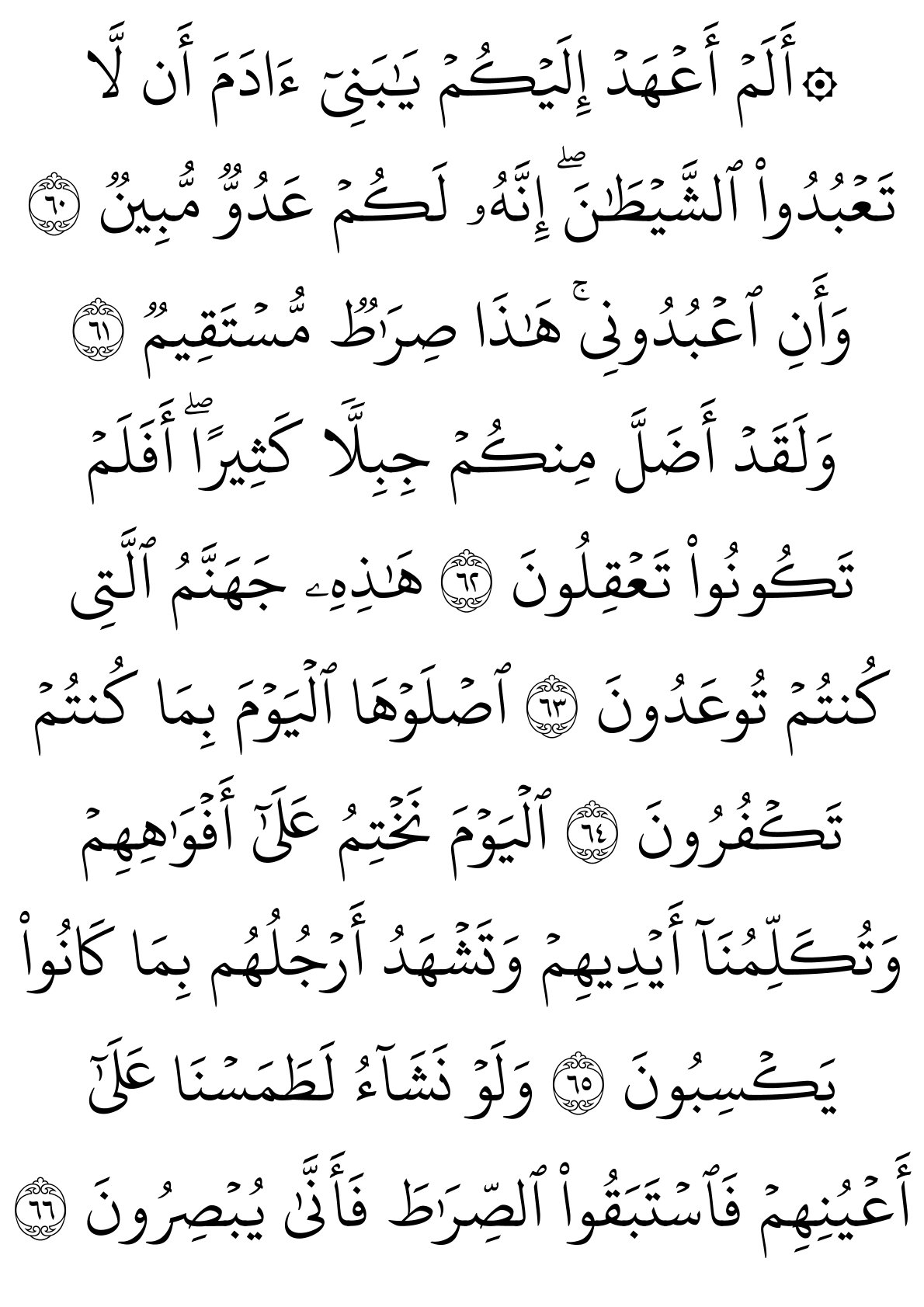 سورة يس الصفحة 11