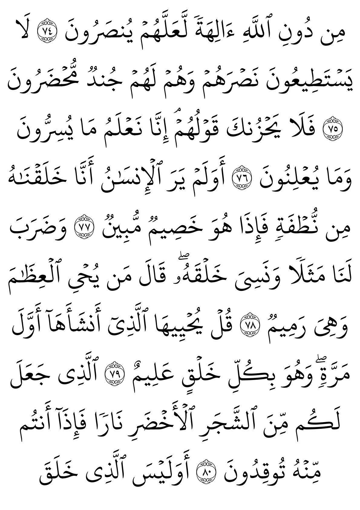 سورة يس الصفحة 13